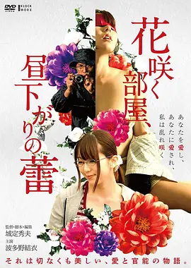 美亚电影网 雾港来信 电影海报